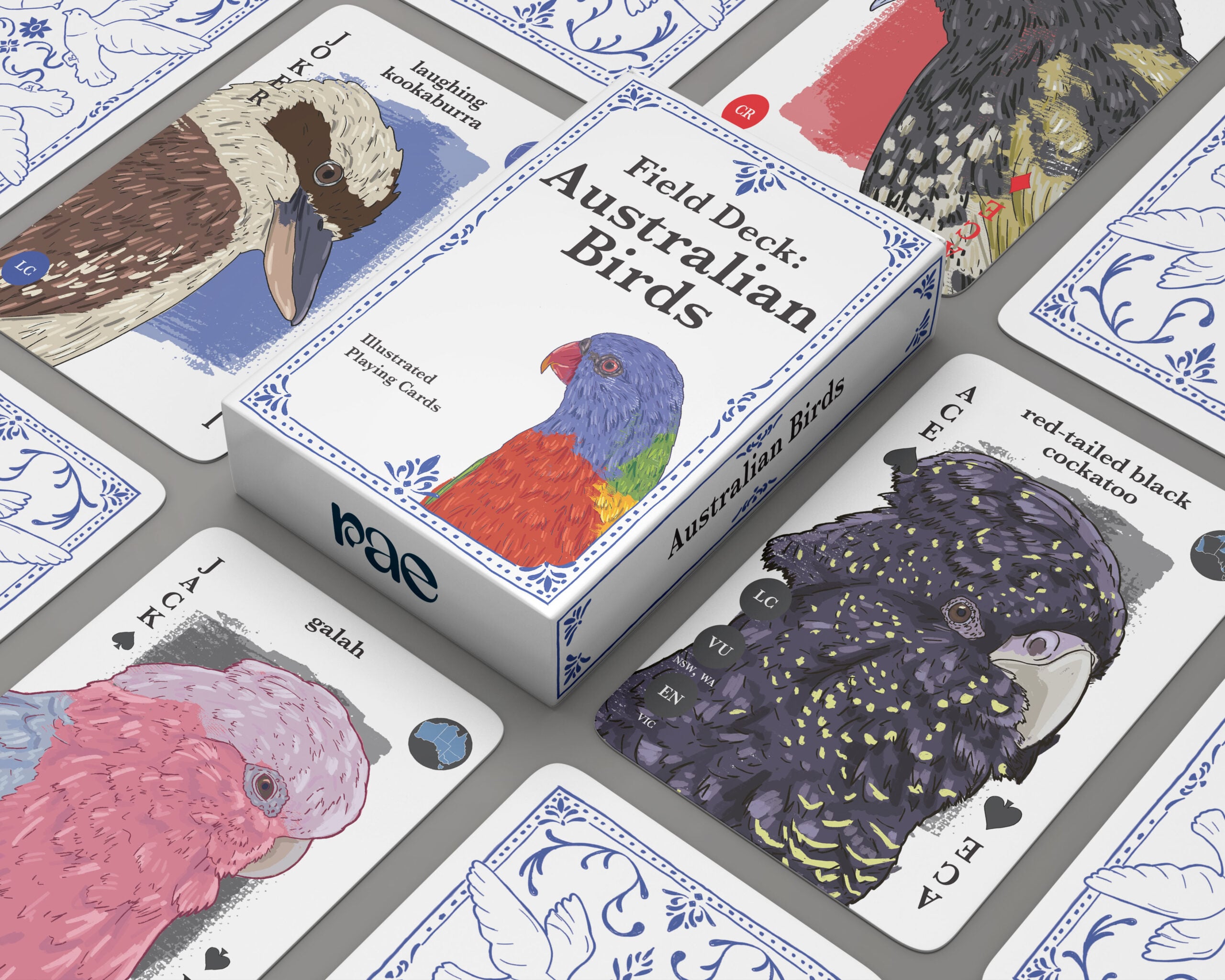 An image of some playing cards and the box for the cards, the cards are of australian native birds with a small circle showing their habitat and circles showing their endangered status. The birds shown are a red-tailed black cockatoo, a galah, a laughing kookaburra and a regent honey eater. The box features a rainbow lorikeet and the text Field Deck: Australian Birds.