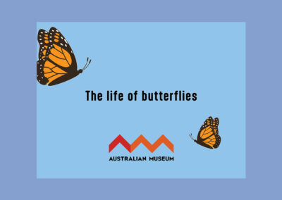 Butterfly Epub